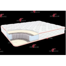 Anatomic memo 1400*2000