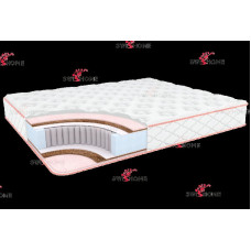 Anatomic mix 800*2000