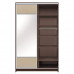 Шкаф купе "Премиум" 2-х створчатый