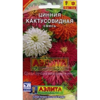 Циния кактусовидная смесь окрасок, SM-13909037