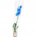 Орхидея Фаленопсис Блю окрашенный ø12 h60 см синий, SM-13974322