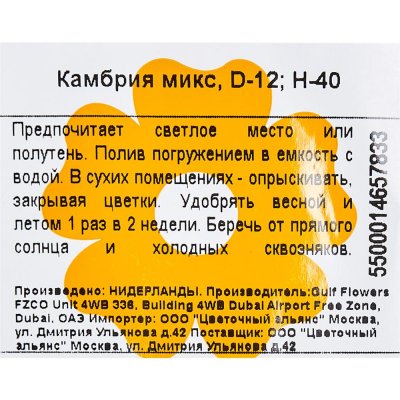 Орхидея Камбрия микс ø12 h65 см, SM-14448050