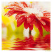 Картина на стекле 30х30 см «Red flower» 27737524, SM-15247823