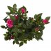 Роза Стар Розес 10х25 см, SM-15628440