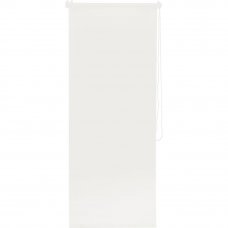 Штора рулонная Inspire Шантунг 60х160 см цвет белый