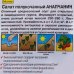 Семена Салат полукочанный «Анапчанин» (Лидер), SM-17328379