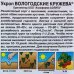 Семена Укроп «Вологодские кружева», SM-17328432