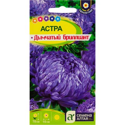 Астра «Дымчатый Бриллиант», SM-17345443