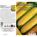 Семена Кукуруза «Кубанский сахарный» 210, SM-17345769