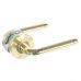 Ручки дверные на розетке ASS-6329, цвет золото/матовое золото, SM-18743566