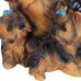 Фигура садовая «Собака Йорк с щенками» h30 см, SM-81950516