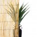Изгородь декоративная натуральная тростник 3x1 м, SM-81972162