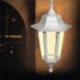 Подвесной светильник уличный Apeyron «Адель» 11-98, E27, цвет белый, SM-82041845