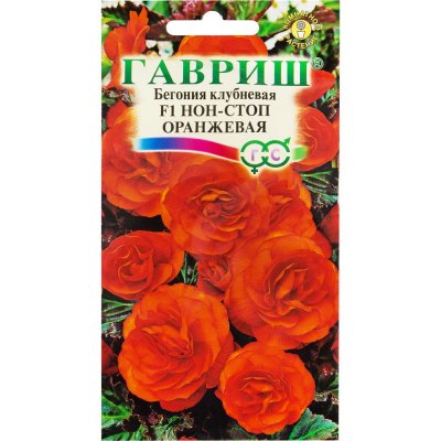 Бегония гранулированная «Нон-стоп» оранжевая, 4 шт., SM-82097834
