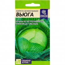 Семена Капуста Сибирская селекция «Вьюга», 0.5 г