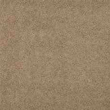 Ковровое покрытие «Глория», 4 м, цвет светло-коричневый