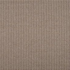 Ковровое покрытие «Парнас», 3 м, цвет бежевый/коричневый