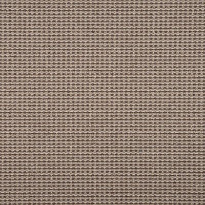 Ковровое покрытие «Парнас», 3 м, цвет бежевый/коричневый, SM-82163713