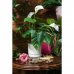 Горшок цветочный Лоза ø15 h13.5 см v1.5 л керамика белый, SM-82278870
