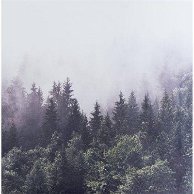 Картина на холсте «Туманный лес» 30x30 см, SM-82402326