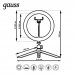 Светильник кольцевой светодиодный Gauss Ring Light Ø26 см с пультом управления, SM-82435027