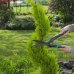 Ножницы садовые Gardena PrecisionCut Boxwood для кустарников, SM-82504759