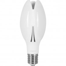 Лампа светодиодная Gauss Basic ВТ100 E40 230 В 30 Вт матовая 2950 лм, холодный белый свет