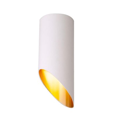 Светильник накладной Elektrostandard DLN114, 2 м², цвет белый/золото, SM-82809615