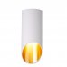 Светильник накладной Elektrostandard DLN114, 2 м², цвет белый/золото, SM-82809615