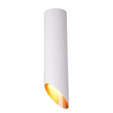 Светильник накладной Elektrostandard DLN115, 2 м², цвет белый/золото
