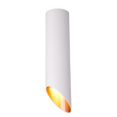 Светильник накладной Elektrostandard DLN115, 2 м², цвет белый/золото, SM-82809617