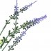Растение искусственное Лаванда 30 см цвет зелёный, SM-82839129