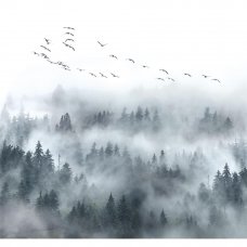 Фотообои «‎В густом тумане»‎ 3D флизелиновые 300х270 см L13-125