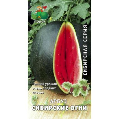 Семена Арбуз «Сибирские огни», SM-83123480