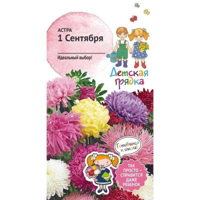 Семена Астра «1 Сентября», SM-83229987