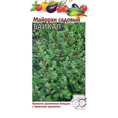 Семена Майоран садовый Байкал, SM-83606980