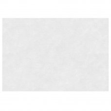 Плитка настенная Керамин Ассам 7 40x27.5 см 1.65 м² цвет белый