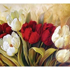 Фотообои Тюльпаны Триумф флизелиновые, 300x270 см, L13-203