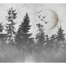 Фотообои Лунный пейзаж флизелиновые, 300x270 см, L13-211