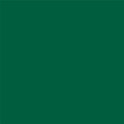 Ткань 1 м/п оксфорд 300 den 150 см цвет зелёный, SM-84885642