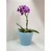 Горшок цветочный Ingreen London ø12.6 h11.3 см v1 л пластик голубой, SM-88259144