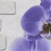 Обои виниловые Аспект Ру Орхидея фиолетовые 0.53 м 10107-46, SM-88487454