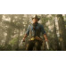 Игра Red Dead Redemption 2 (PS4), BT-1216153