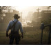 Игра Red Dead Redemption 2 (PS4), BT-1216153