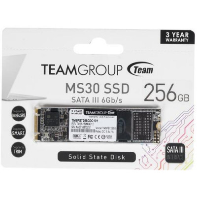 256 ГБ SSD M.2 накопитель Team Group MS30 [TM8PS7256G0C101], BT-1296326