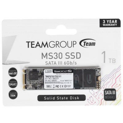 1000 ГБ SSD M.2 накопитель Team Group MS30 [TM8PS7001T0C101], BT-1296328