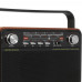 Радиоприемник Aceline AR560, BT-1663334