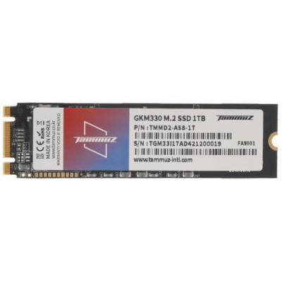 1000 ГБ SSD M.2 накопитель Tammuz GKM330 [TGM301TBA58], BT-4764714