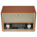 Радиоприемник Ritmix RPR-102, BT-4900705