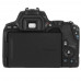 Зеркальный фотоаппарат Canon EOS 250D Kit 18-55mm IS STM черный, BT-5068854